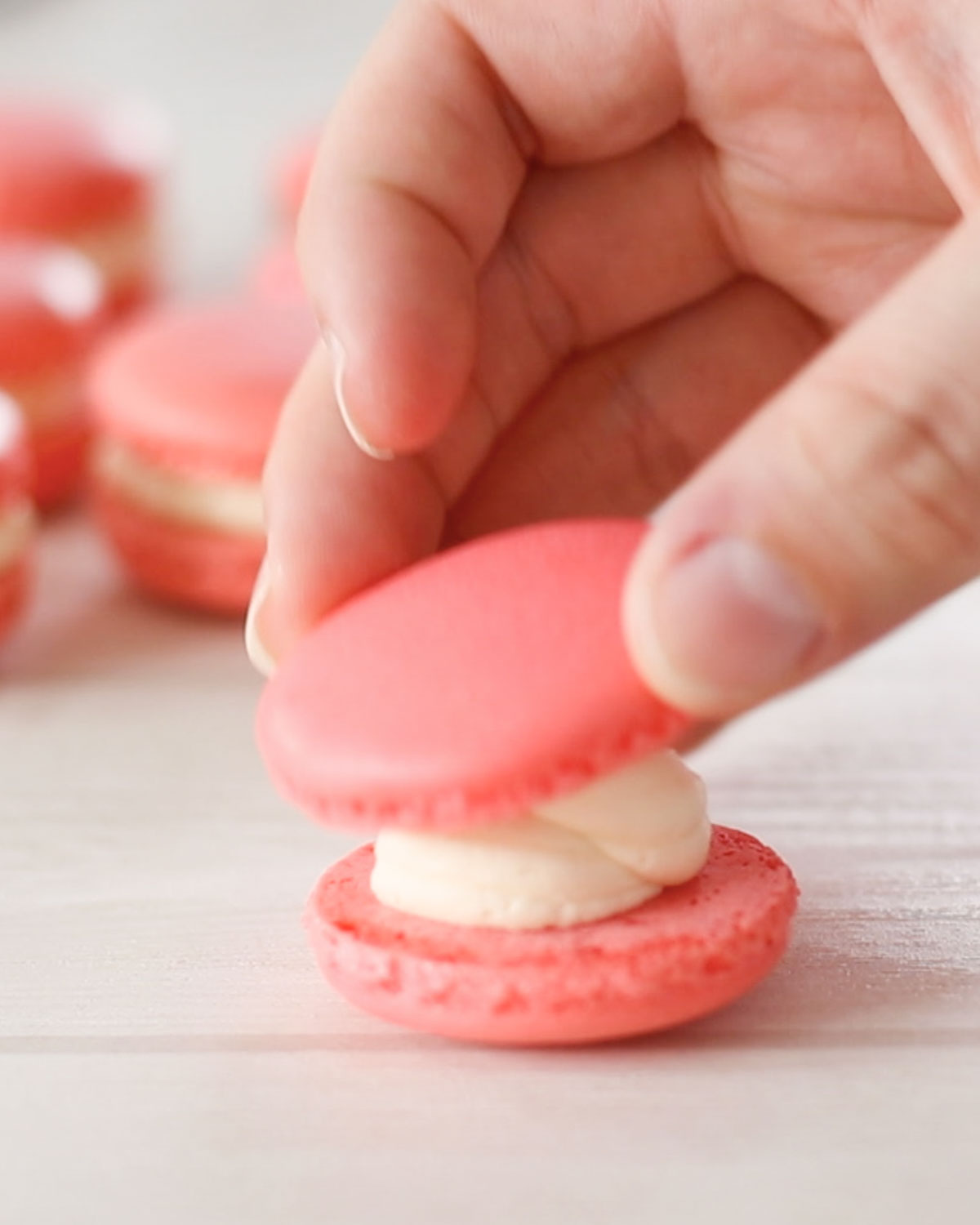 Strawberry Macarons