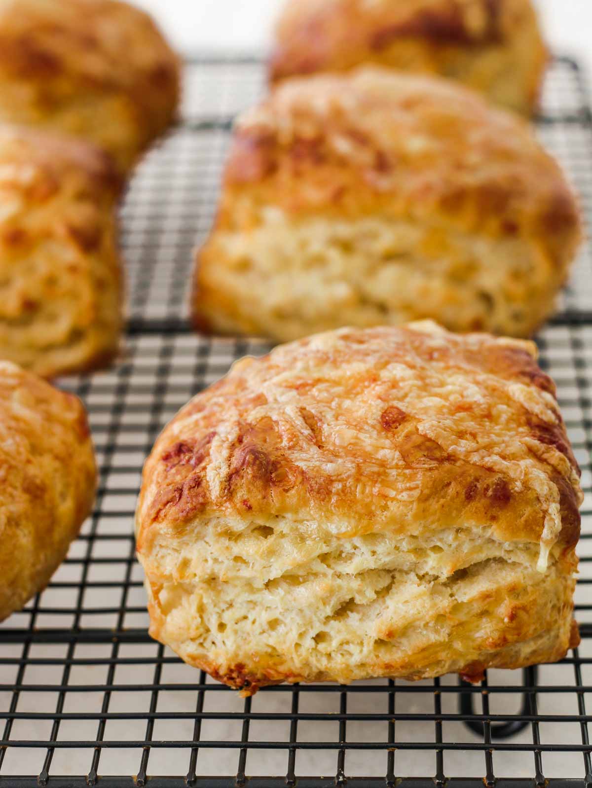 Best Ever Cheese Scones - Recipes by Carina